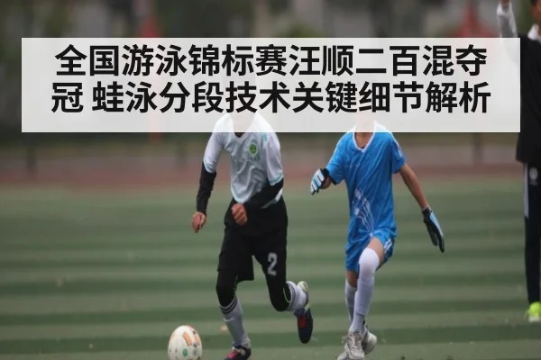 全国游泳锦标赛汪顺二百混夺冠 蛙泳分段技术关键细节解析